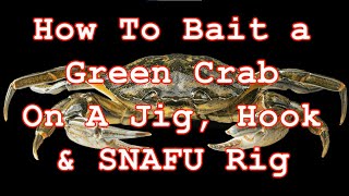 How To Rig / Bait a Green Crab on a Jig , Single Hook & SNAFU Rig for Blackfish & Sheepshead
