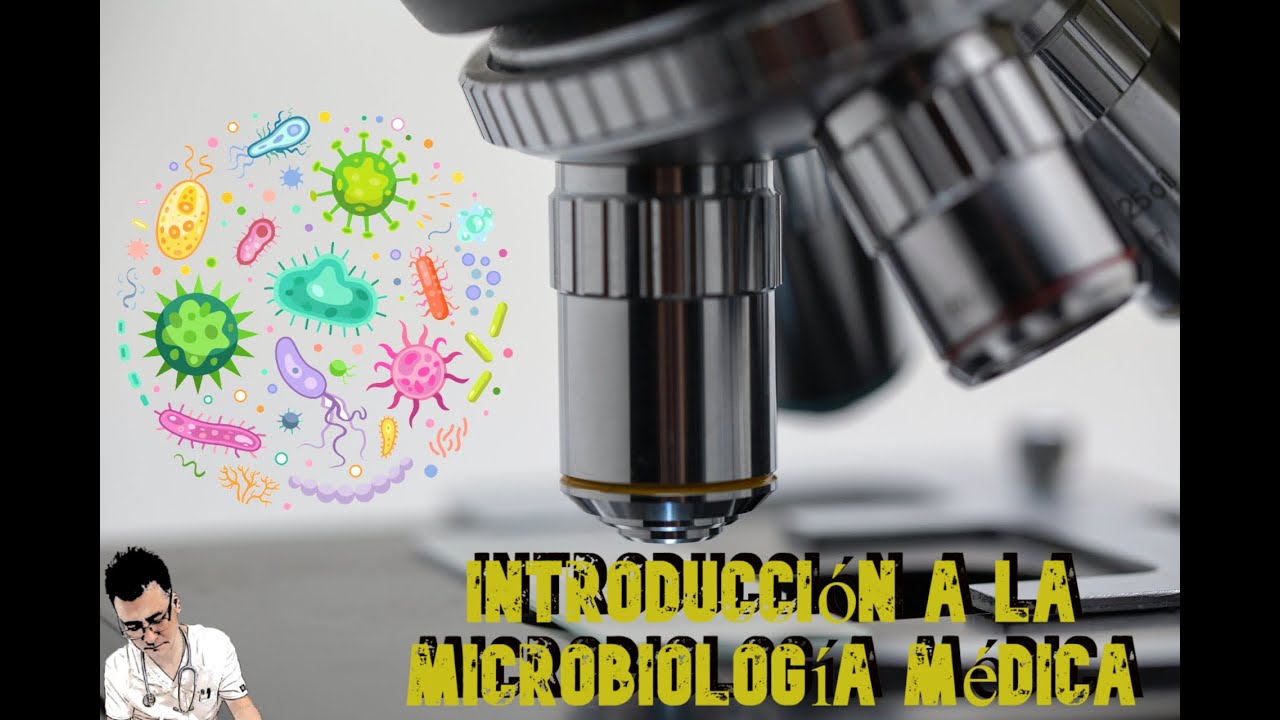 Introducción a Microbiología Médica parte 1