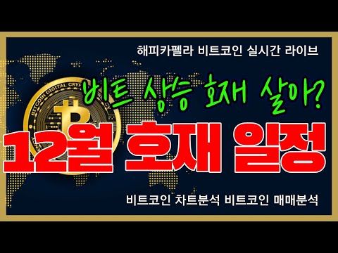   비트코인 실시간 12월 코인 호재 일정 비트 살아서 호재타나 12월 10일 점심