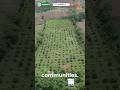How We Sold 12.5 Acres Without Marketing 😳
