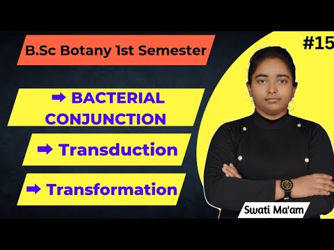 Bacterial Conjugation | Transduction & Transformation | B.Sc. Botany 1st Semester | Swati Ma'am |