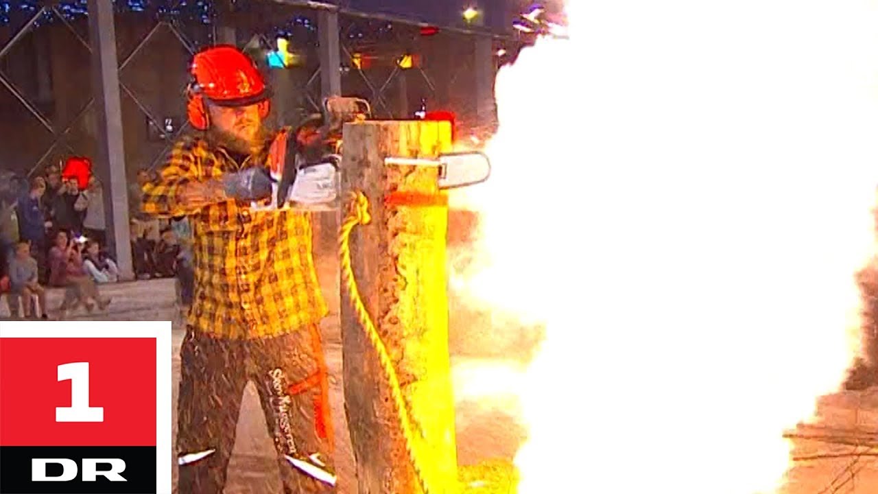 Hvor hurtigt kan de skære igennem 3 tykke træstammer? | Alle mod 1 | DR1