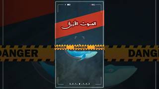 لعبة الحوت الأزرق لعبة تلعب بعقول الأطفال #آندر #اساطير_النهاية