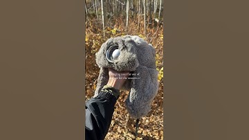 Featured: Frosted Emblem Premium 100% Rabbit Fur Ash Grey Trapper Hat #naturalfur #winter #explore
