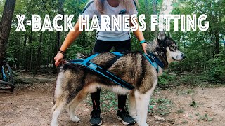 Harness Fitting  How to properly fit a Xback harness on your dog