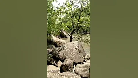 Hike near Cumberland Falls