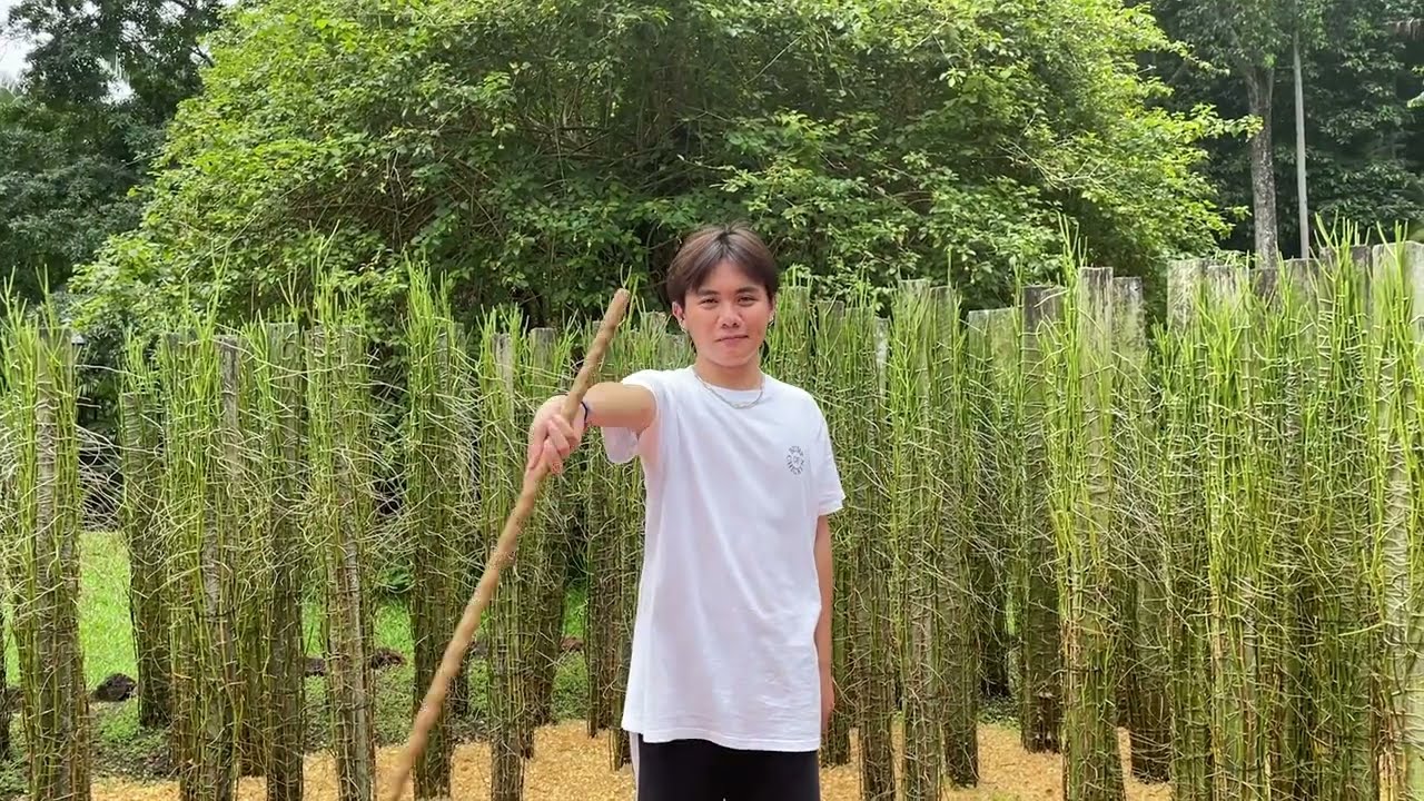 BSC Interest Group Camp 2022 Trailer: Camp Kyros