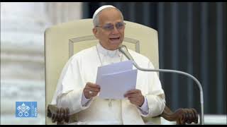Pope Leo XIV's Catechesis