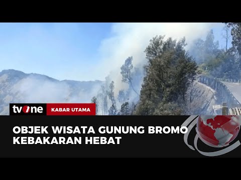 Musim Kemarau Picu Kebakaran di Hutan Bromo dan Gunung Sumbing | Kabar Utama tvOne