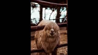 Joakim Karud Best Of Mix Chill HopInstrumental