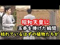 敬宮殿下が3日昭和天皇と香淳皇后の陵を訪れ玉串を捧げた瞬間、枯れているはずの植物たちがなぜか輝き初めてびっくり…お天気も曇りなんだけどね「よくやったお帰り」と仰せであるように見る…鳥居での作法も添えて