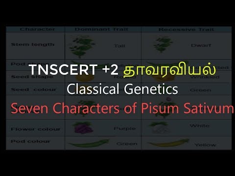 5. वनस्पति विज्ञान | शास्त्रीय आनुवंशिकी | पिसुम सतिवुम के सात वर्ण