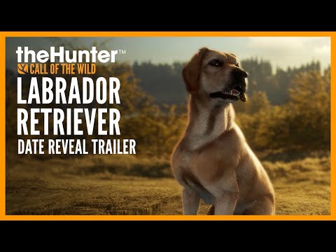 : Labrador Retriever - Reveal Trailer