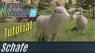 LS23 Tutorial: Schafe