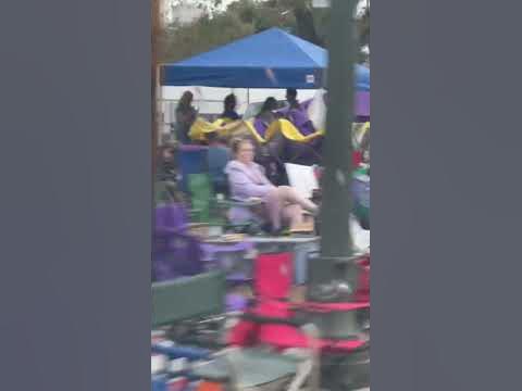 ladders during mardi gras