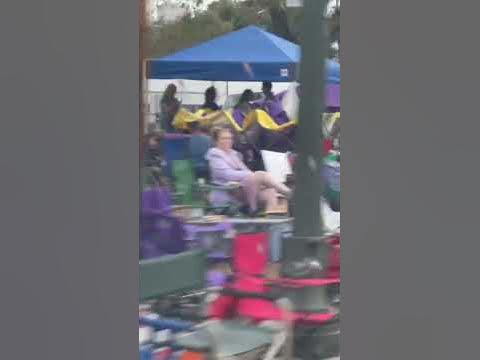what are ladders used for in mardi gras