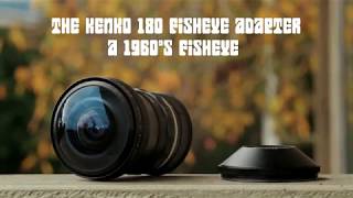 Kenko 180 Degree Fisheye Adapter (Hal 9000) - Lens Test screenshot 4