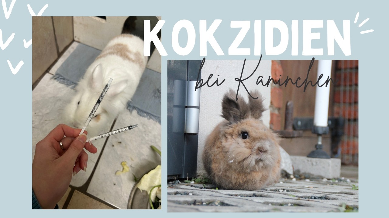 Wir haben Kokzidien!😨