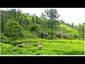 Coonoor Road Trip Vlog | Day 2 | Lake, Mountain and Wildlife | Travel Vlog 20