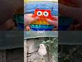 Kids Learn | Animal Names at the Lake: Capybara Zebra Monkey Moose Owl