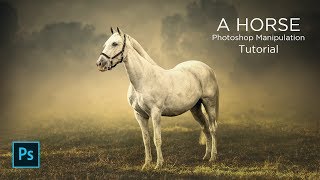 A Horse Photoshop Manipulation || FaiziCreation screenshot 4