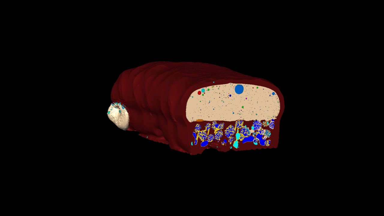 Inside a Double Decker