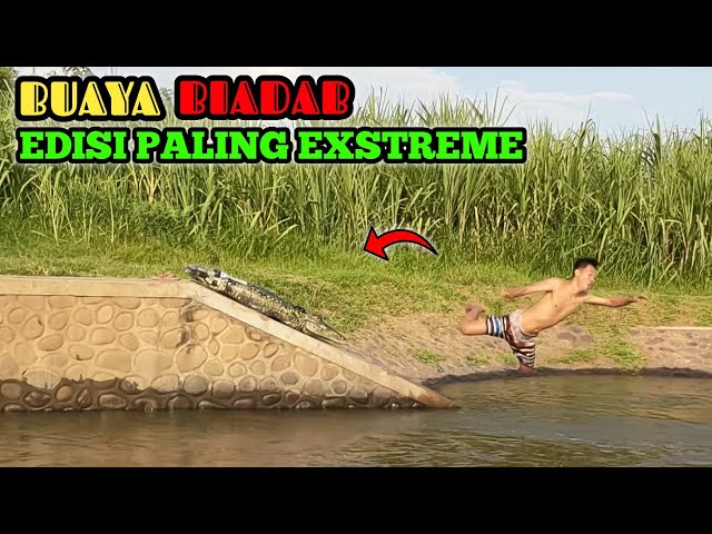 Prank Buaya Paling Extreme || Super Lucu Auto Nyemplung || Asli Bikin Ngakak 🤣🤣 class=