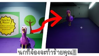 ระวังไว้ให้ดีนกตัวนี้จ้องจะเล่นคุณ