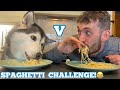 HUSKIES SPAGHETTI CHALLENGE!! [FEMALE V DAD V PUPPY V MALE!!] [WITH FUNNY CAPTIONS!]