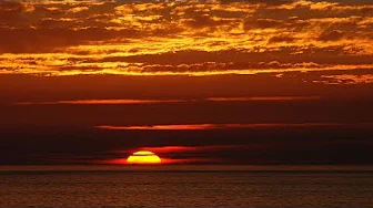 Larry Coryell - Before Dawn *k~kat jazz café* Vloppers Bride Larry Coryell - Before Dawn *k~kat jazz café* Vloppers Bride