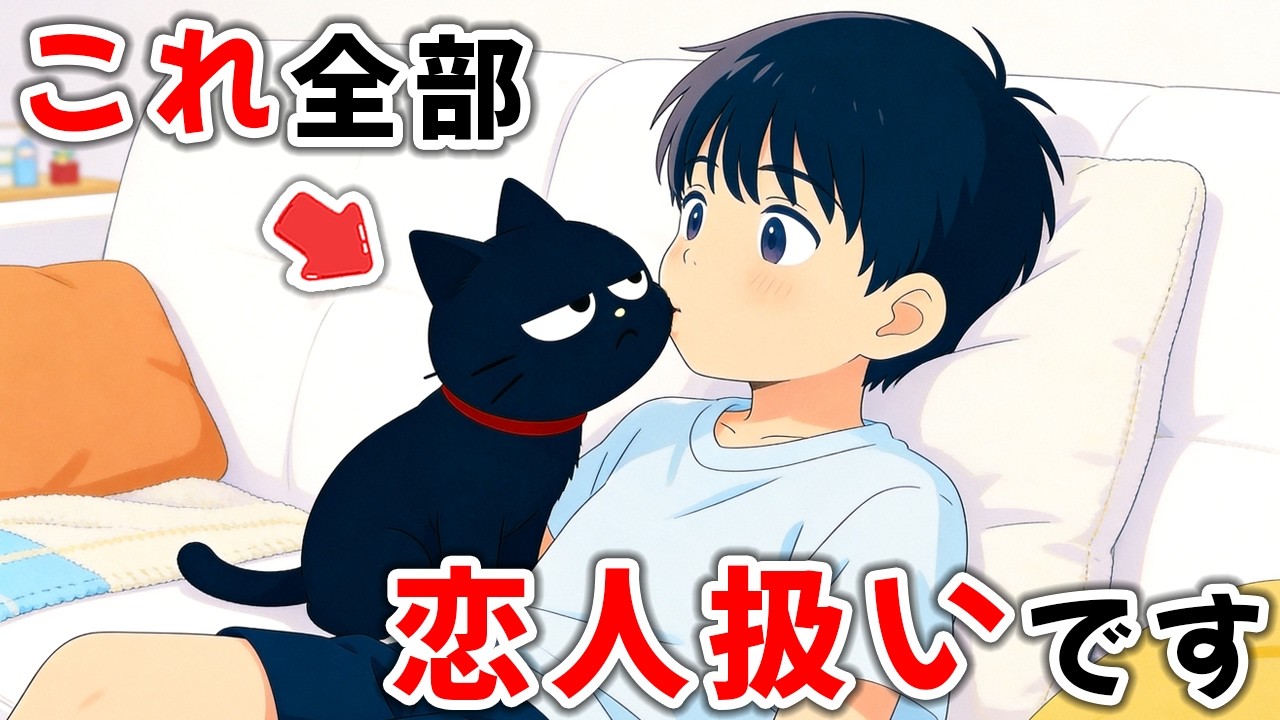 ねこ好き Cat behaviors that cats only show to someone they like, like a
