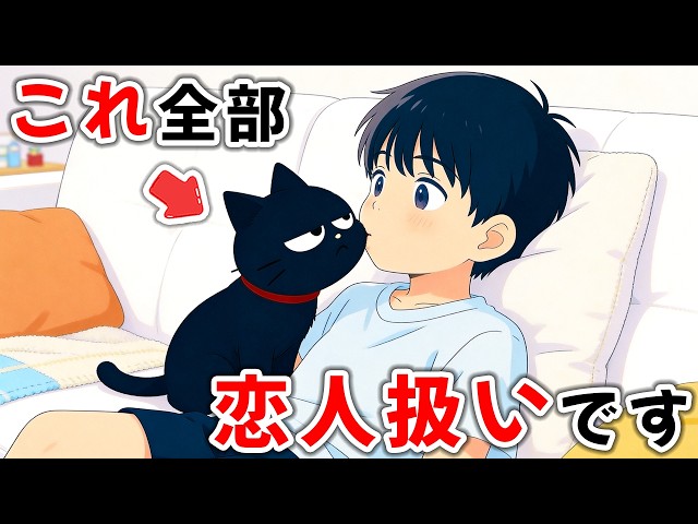 Cat behaviors that cats only show to someone they like, like a