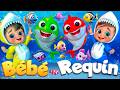 Bébé Requin dans la Mer | Comptines Et Chansons | À Bébé Chanson @SuperLucaLEFrancais