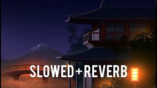 Shadow Fight 2 Act 2 Tournament Theme | Slowed + Reverb Resimi
