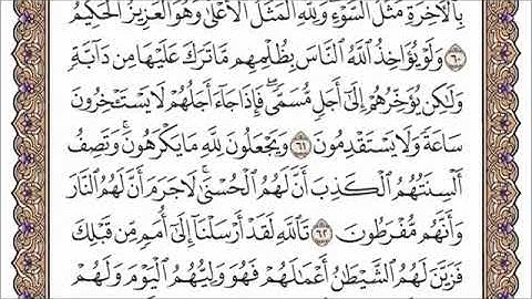 سورة النحل بصوت القارئ الشيخ عبدالرحمن السديس قراءه و استماع