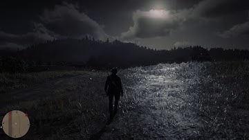 Walking the Entire Map End to End in Red Dead Redemption 2 (Time Lapse)