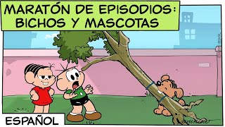 Maratón de episodios | Bichos y Mascotas (¡UNA HORA de vídeo!) | Mónica y sus Amigos