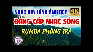 Nhạc Sống Không Lời Bolero 4K (Vol 1) - Liên Khúc Hòa Tấu RUMBA Phòng Trà