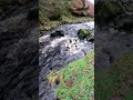 River crossing games again!