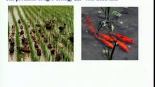 september 27 2011 the problem of hunger and the right to food