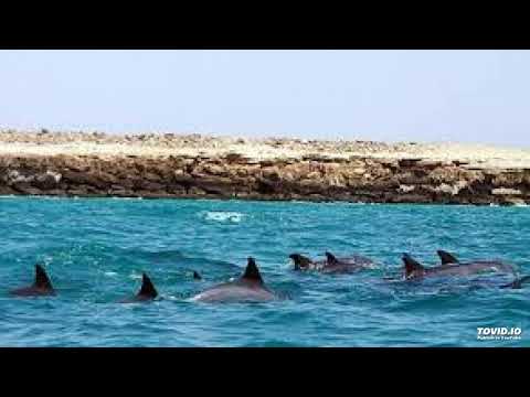 اغنيه قديمه علي محبوب الفلاسي