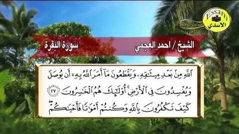 سورة البقرة الآيات 27-28-29.