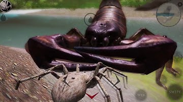 🕷 Ultimate Spider Simulator 2 Android Gameplay #2 Spider Sim Game