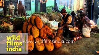 Wholesale jackfruit seller at Azadpur Sabzi Mandi, India