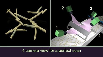 Optical Sorter Xcalibur animation
