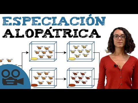 Vídeo: Diferencia Entre La Especiación Alopátrica Y Simpátrica
