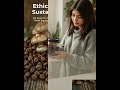 From Farm to Your Cup: The Zen Journey