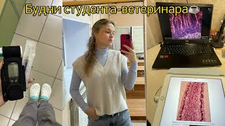 влог студента-ветеринара #3