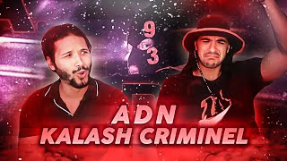 Watch Kalash Criminel ADN Extrait Du Projet Art De Rue video