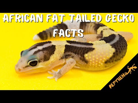 12 Amazing Facts